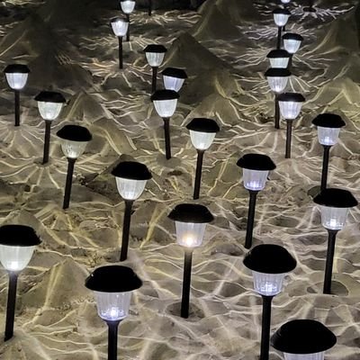 AnjaSJones's profile picture. NU Scholar