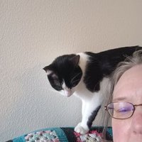 NoOneAtNoPlace (@nooneatnop48445) 's Twitter Profile