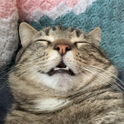 A few tweets blew up but now my twitter is boring so welcome