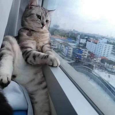 shayushayu119's profile picture. 精神小伙  门槛 68  
174/54
喜欢加v Bing07889