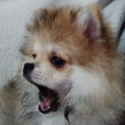 kkjoaoduarte's profile picture. 