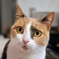 LoyB (@loy2907) 's Twitter Profile
