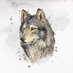 Gray Wolf (@boranbutt) Twitter profile photo Gray Wolf (@boranbutt) Twitter profile photo