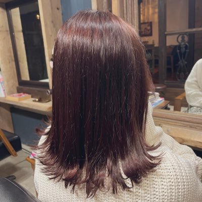 キャリア再構築中アラサーの奮闘記💐 / 社労士試験勉強中(2024.12.20〜) / フォーサイト受講生 / 一発合格目標 / 社会保険事務経験あり / 社会福祉士(2020年合格) / 社労士受験生・先輩方と繋がりたい / 無言フォロー失礼します🙇♀️