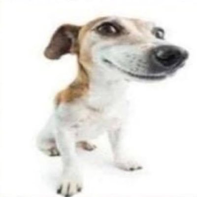 hytdghg's profile picture. 