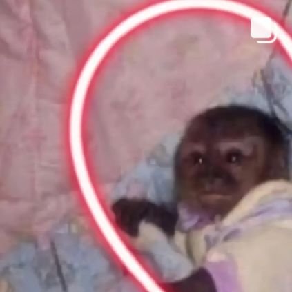 notsomerhaldr's profile picture. Welcome to the real world. It sucks. You’re gonna love it! - Mônica Geller. @spiderxmy ❤️