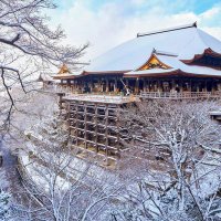 笹木野のりこ (@sasakinonoriko) 's Twitter Profile