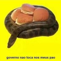 Fidalgo do Ancapistão🐍🏴👑🦅 (@nhanhabbbbbbbb) 's Twitter Profile Photo Fidalgo do Ancapistão🐍🏴👑🦅 (@nhanhabbbbbbbb) 's Twitter Profile Photo