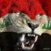 الدليمي (@ldlymy176663) Twitter profile photo الدليمي (@ldlymy176663) Twitter profile photo