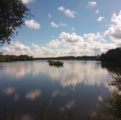 SwordofThule's profile picture. 