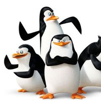 Kowalski π§ (@_kowalski_7) 's Twitter Profile