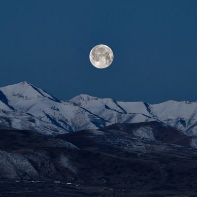 malong94121's profile picture. 좋아하는걸 모으는 사람