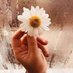 همسة💭 (@hamseh0099) Twitter profile photo همسة💭 (@hamseh0099) Twitter profile photo