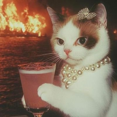 pelinmtd's profile picture. “Beni olağanüstü bir kişi olarak yorumlamayınız. Doğuşumdaki tek olağanüstülük Türk olarak dünyaya gelmemdir” MUSTAFA KEMAL ATATÜRK