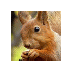 Helen Hays - @hays_helen - Twitter