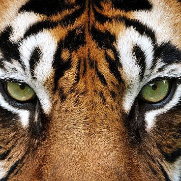 TravellinM's profile picture. 