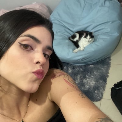 brondanivic's profile picture. calma. vai dar tudo errado.