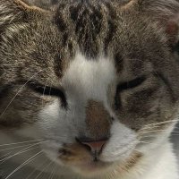 Katnitter (@kathgrahamx) 's Twitter Profile Photo