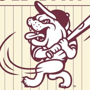 Keeping up with the Diamond Dawgs quality at bats throughout the 2025 season