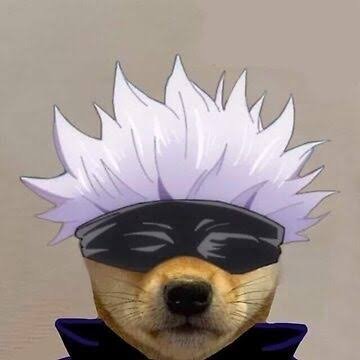 melody_mek91160's profile picture. $zro $eigen $virtual $zk