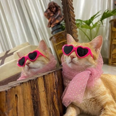 tatitatataa's profile picture. 99% of me.