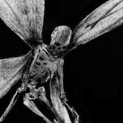 luzbananaluz's profile picture. I will be perfect. ᕙ(`▿´)ᕗ | bmi 24.6 + cw 152.2 lbs + gbmi 20 + hw 175 lbs | chicano