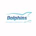 Dolphins /インカレダイビングサークル/2025新歓用 (@2025dolphins) Twitter profile photo Dolphins /インカレダイビングサークル/2025新歓用 (@2025dolphins) Twitter profile photo