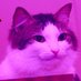 Tr1llCat4 (@myvillage123) Twitter profile photo Tr1llCat4 (@myvillage123) Twitter profile photo
