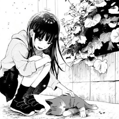 rosaaa1105's profile picture. ⬮ω⬮