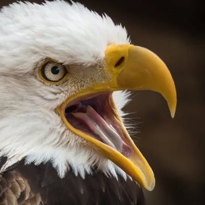 CoryIverson's profile picture. Live, Love and Laugh!!