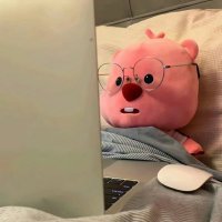 HS π¨π³ (@hangsong1212) 's Twitter Profile