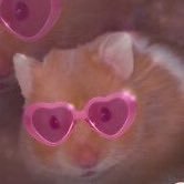 angeIcakesss's profile picture. stay mysterious slay mysterious