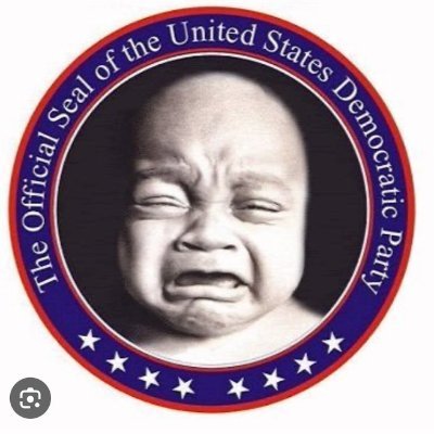 BlahBlah2U2's profile picture. As of November 6, 2024 .......We are officially unburdened by what has been.
It is time to take back America from Stupid People
#MAGA2024
