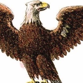 NickPenn3000's profile picture. 