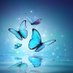 Butterflyglow🦋 (@butterflyg43767) Twitter profile photo Butterflyglow🦋 (@butterflyg43767) Twitter profile photo