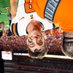Tristen Kissack (@tkissack20) Twitter profile photo Tristen Kissack (@tkissack20) Twitter profile photo