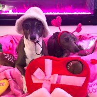 Lamoris33 (@lamorisutopia) 's Twitter Profile