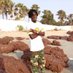 Ismaila Sarr (@ismailasar19205) Twitter profile photo Ismaila Sarr (@ismailasar19205) Twitter profile photo