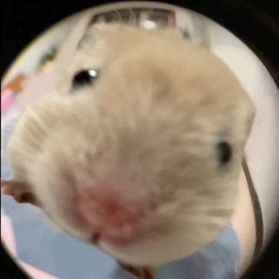 flordemierda's profile picture. vivo esperando la hora de la merienda 🥞