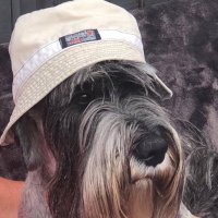 Gazberto (@gazberto) 's Twitter Profile Photo Gazberto (@gazberto) 's Twitter Profile Photo
