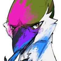 (nico) @ college (@avian_enjoyer) 's Twitter Profile