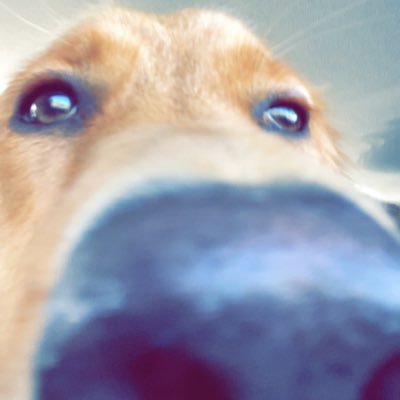 questforthemoon's profile picture. Trade on Axiom If You Hate Fees https://t.co/ChXGnJK1ha