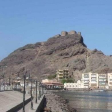 msdn7307's profile picture. عدن - صيره-اليمن///
نتكلم كلمه حق