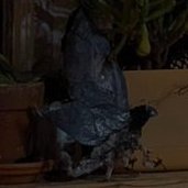 shroudofinfamy's profile picture. im a funny guy