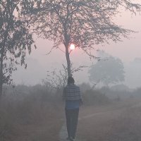 धर्मेन्द्र पटेल (@patelpratapgarh) 's Twitter Profile
