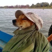 jardel (@jrdlrbn) 's Twitter Profile