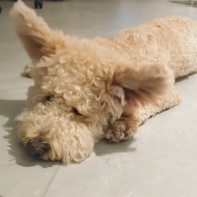 Yarchin133205's profile picture. 