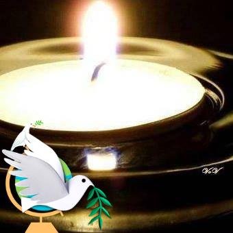La paz es lo mas importante para la vida humana ,sin paz no hay salud