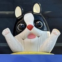 iyumhere (@yyumddu) 's Twitter Profile