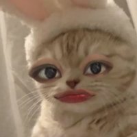 Kate •͈ ᴗ •͈ (@jaekkttyyee_) 's Twitter Profile Photo